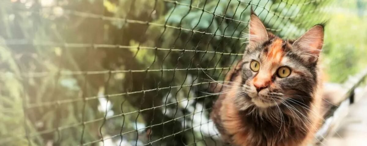 5 Benefícios da Tela de Proteção: Segurança para Quem Mora em São Paulo