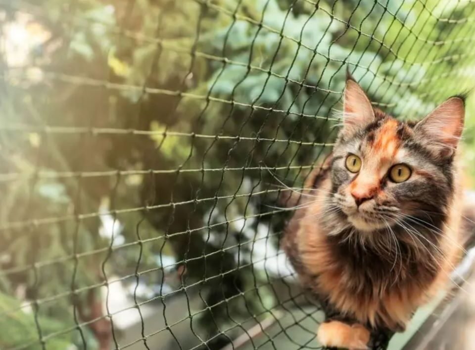 5 Benefícios da Tela de Proteção: Segurança para Quem Mora em São Paulo